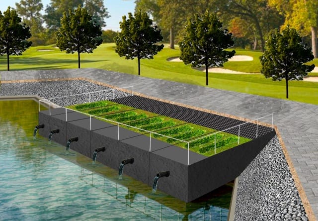 Ecological Rejuvenation and Enhancement of Ponds in Varanasi